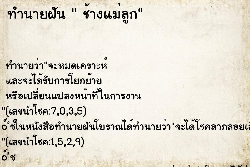 ทำนายฝัน ช้างแม่ลูก ทำนายฝัน ช้างแม่ลูก